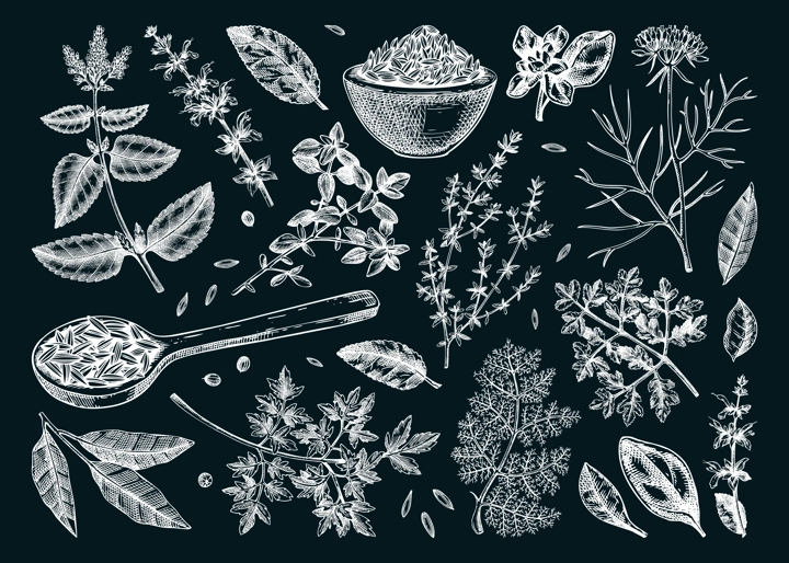Middle Eastern cuisine herb and spice sketches set on chalkboard. Parsley, thyme, cumin, laurel, mint, sage, cilantro drawing. Kitchen spices hand-drawn vector illustration. NOT AI genereted